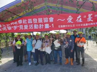 南華芋見愛 愛在蔓延清除小花蔓澤蘭活動-2